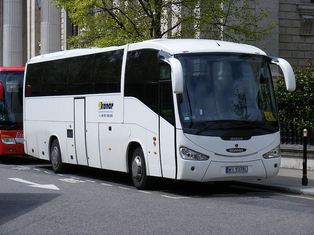 Dovolená autobusem už není za trest